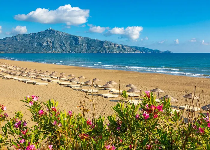 Capital 别墅 达利安